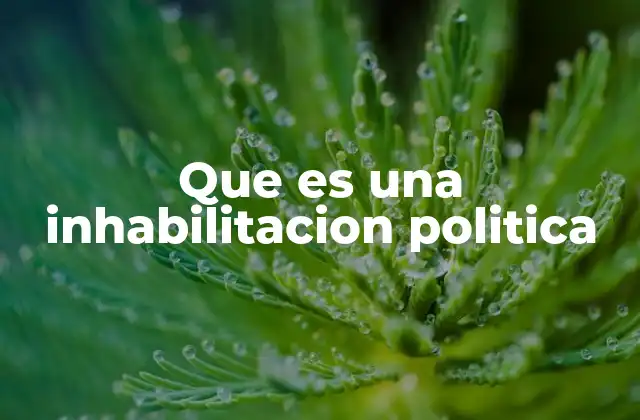 Que es una Inhabilitacion Politica