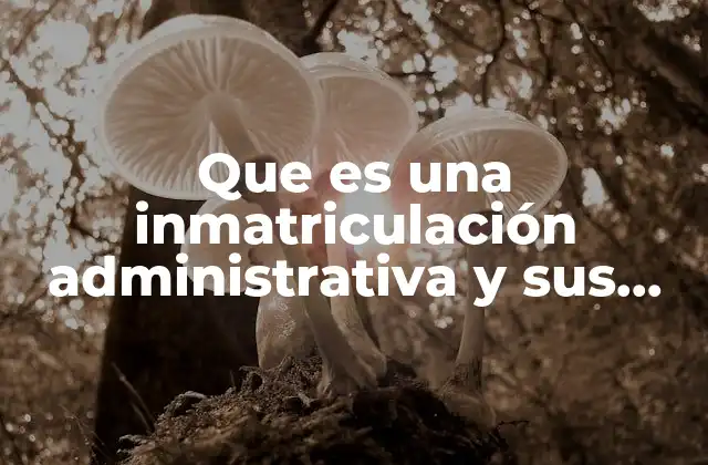 Que es una Inmatriculación Administrativa y Sus Alcances