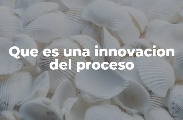 Que es una Innovacion Del Proceso