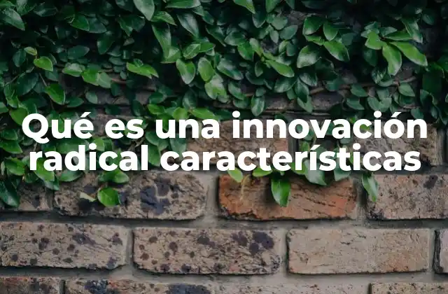 Qué es una Innovación Radical Características 2 Cómo identificar una innovación que redefine el mercado