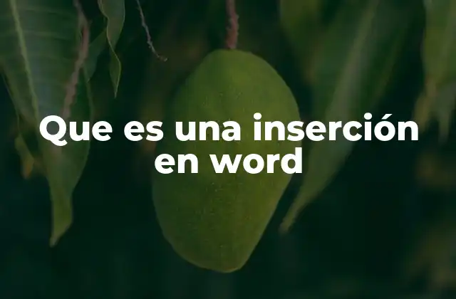 Que es una Inserción en Word