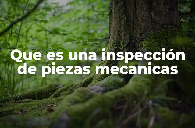 Que es una Inspección de Piezas Mecanicas
