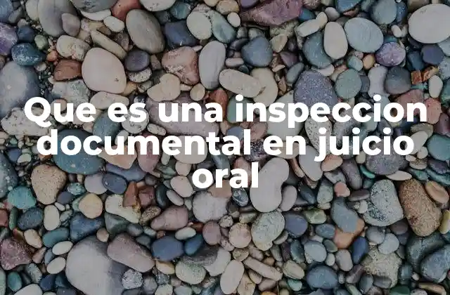 Que es una Inspeccion Documental en Juicio Oral