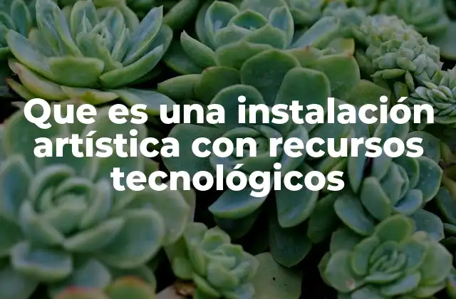Que es una Instalación Artística con Recursos Tecnológicos