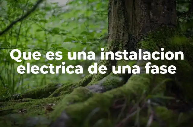 Que es una Instalacion Electrica de una Fase