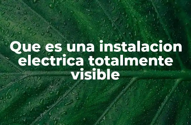 Características de las instalaciones eléctricas visibles