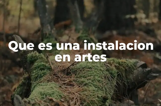 Que es una Instalacion en Artes