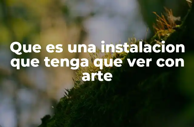 Que es una Instalacion que Tenga que Ver con Arte