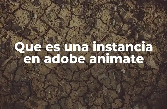 Que es una Instancia en Adobe Animate