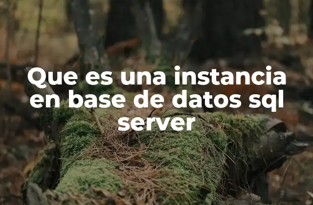 Que es una Instancia en Base de Datos Sql Server