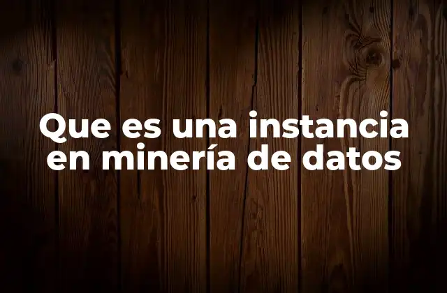 Que es una Instancia en Minería de Datos