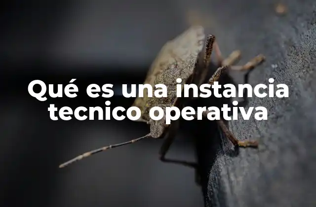 Qué es una Instancia Tecnico Operativa