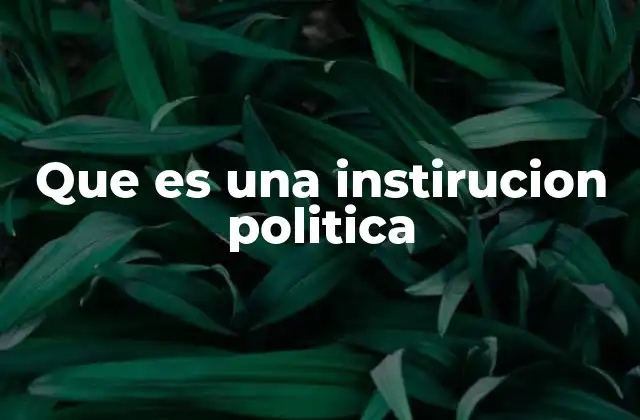 Que es una Instirucion Politica