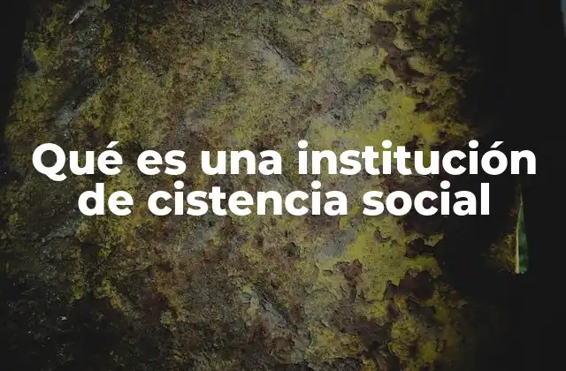 Qué es una Institución de Cistencia Social
