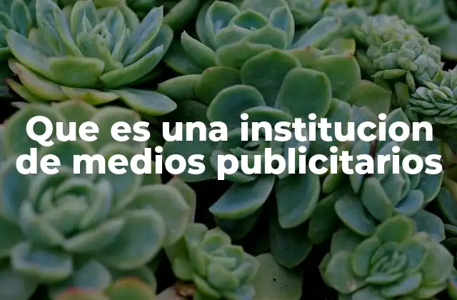 El papel de las instituciones de medios en la publicidad