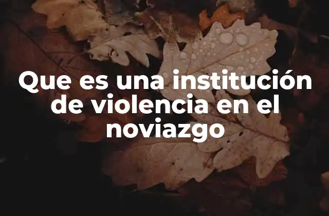 Que es una Institución de Violencia en el Noviazgo