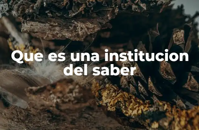 Que es una Institucion Del Saber