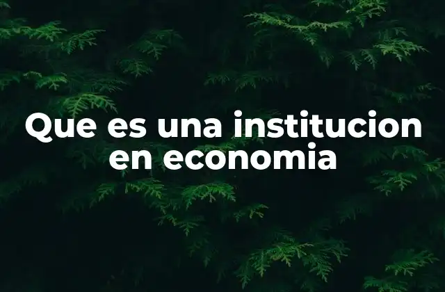Que es una Institucion en Economia