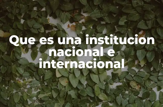 Que es una Institucion Nacional e Internacional