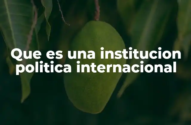 Que es una Institucion Politica Internacional