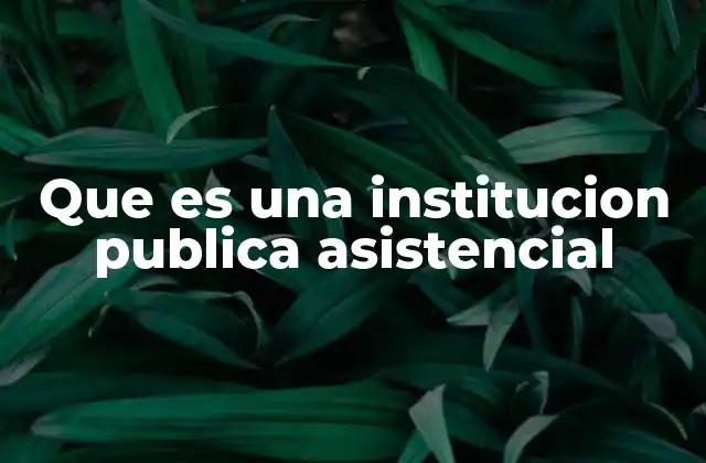 Que es una Institucion Publica Asistencial