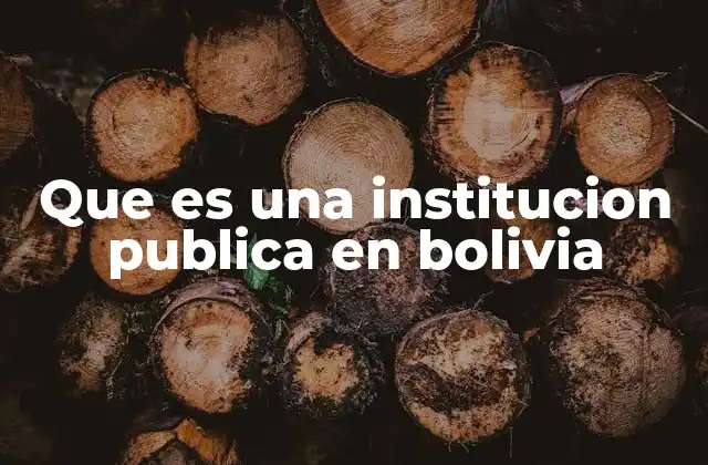 Que es una Institucion Publica en Bolivia
