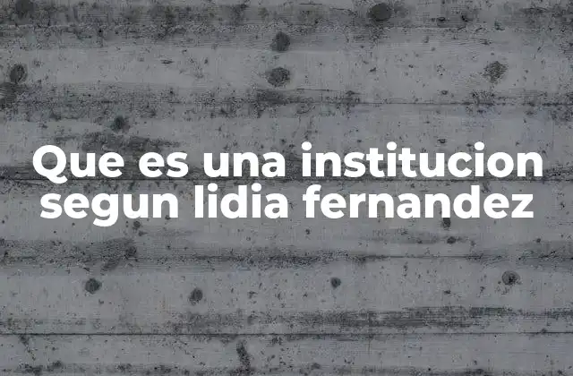 Que es una Institucion Segun Lidia Fernandez