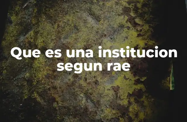 Que es una Institucion Segun Rae