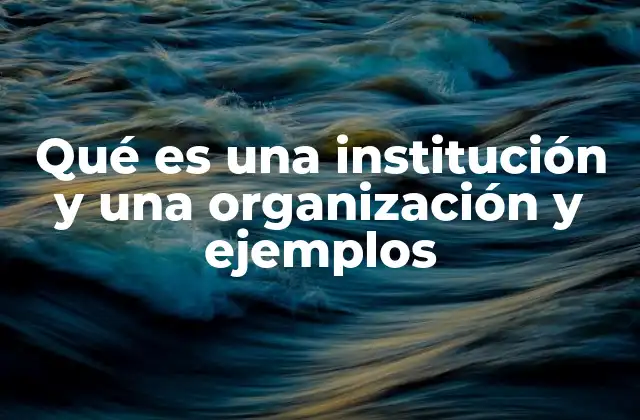 Qué es una Institución y una Organización y Ejemplos