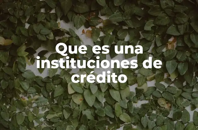 Que es una Instituciones de Crédito