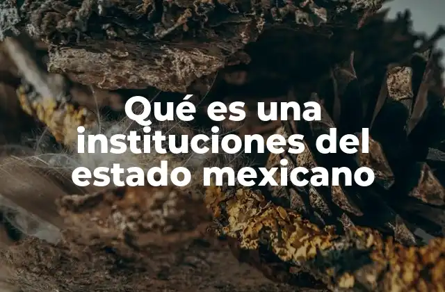 Qué es una Instituciones Del Estado Mexicano
