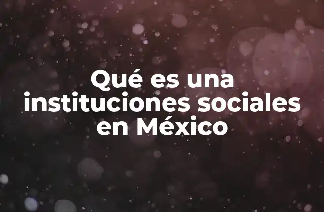 Qué es una Instituciones Sociales en México