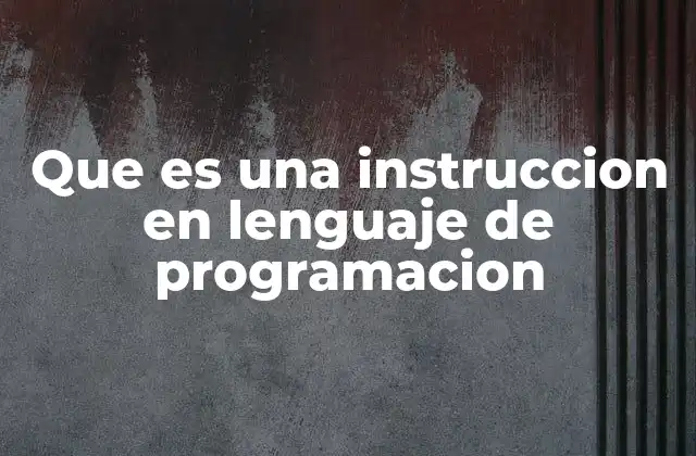 Que es una Instruccion en Lenguaje de Programacion