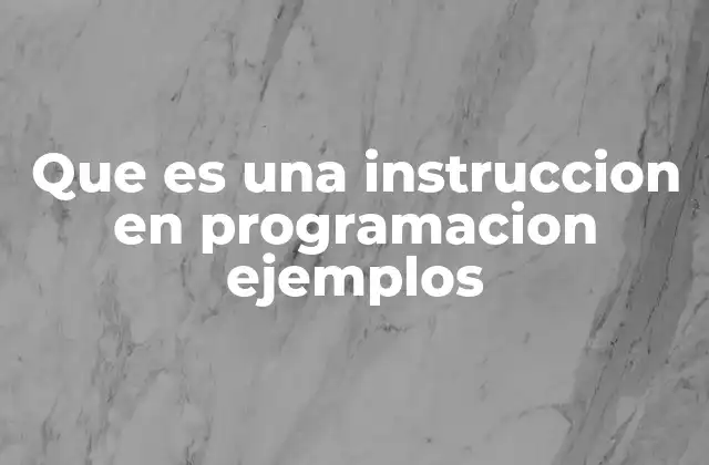 Que es una Instruccion en Programacion Ejemplos