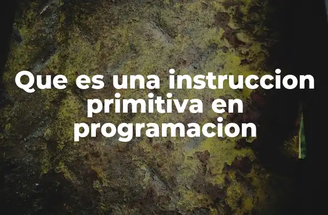 Que es una Instruccion Primitiva en Programacion
