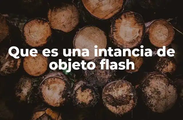Que es una Intancia de Objeto Flash