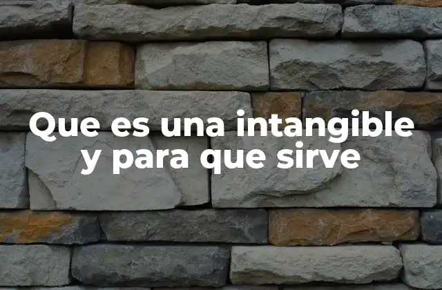 Que es una Intangible y para que Sirve