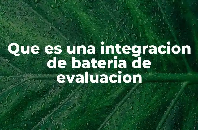 Que es una Integracion de Bateria de Evaluacion