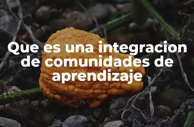 Que es una Integracion de Comunidades de Aprendizaje