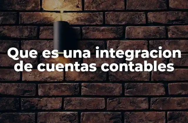 Que es una Integracion de Cuentas Contables
