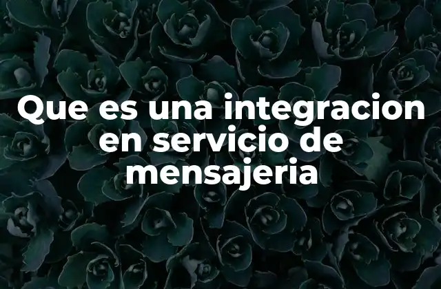Que es una Integracion en Servicio de Mensajeria