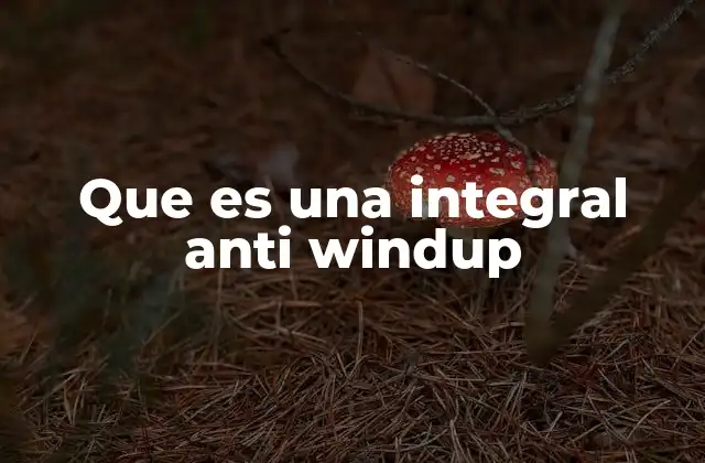 Que es una Integral Anti Windup