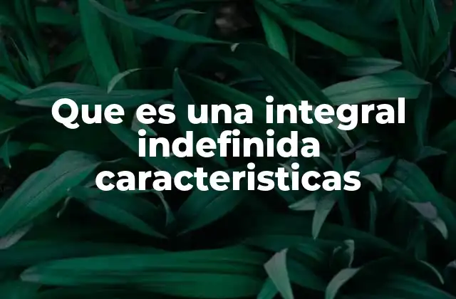 La relación entre derivación e integración indefinida