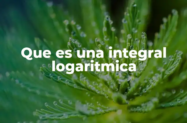 Que es una Integral Logaritmica