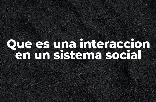 Que es una Interaccion en un Sistema Social