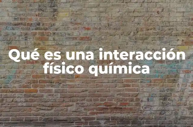 Qué es una Interacción Físico Química