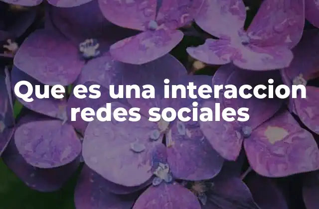 Que es una Interaccion Redes Sociales