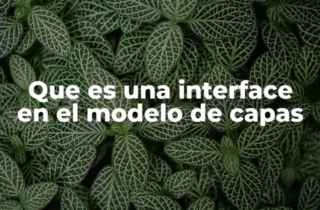 Que es una Interface en el Modelo de Capas