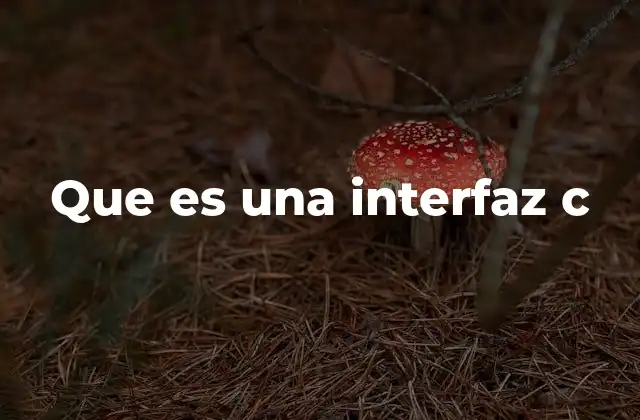 Que es una Interfaz C