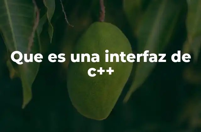 Que es una Interfaz de C++